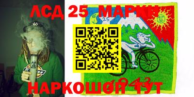 apvp Тверь